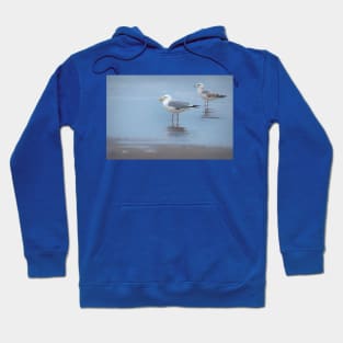 Seagulls At Boca Chica Beach Hoodie